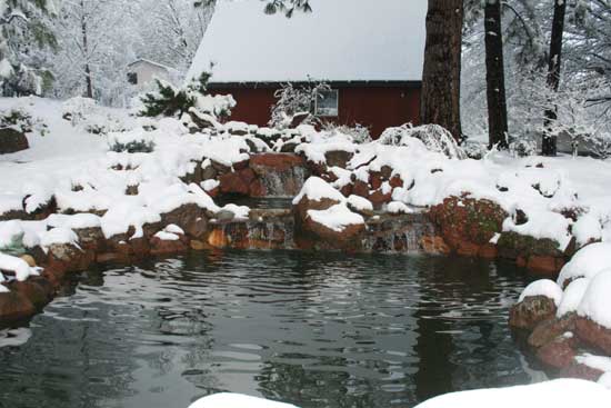 Water Feature with Snow