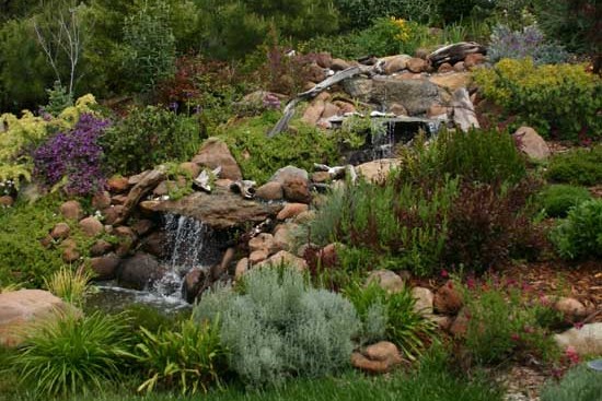 Meadow Vista Waterfall